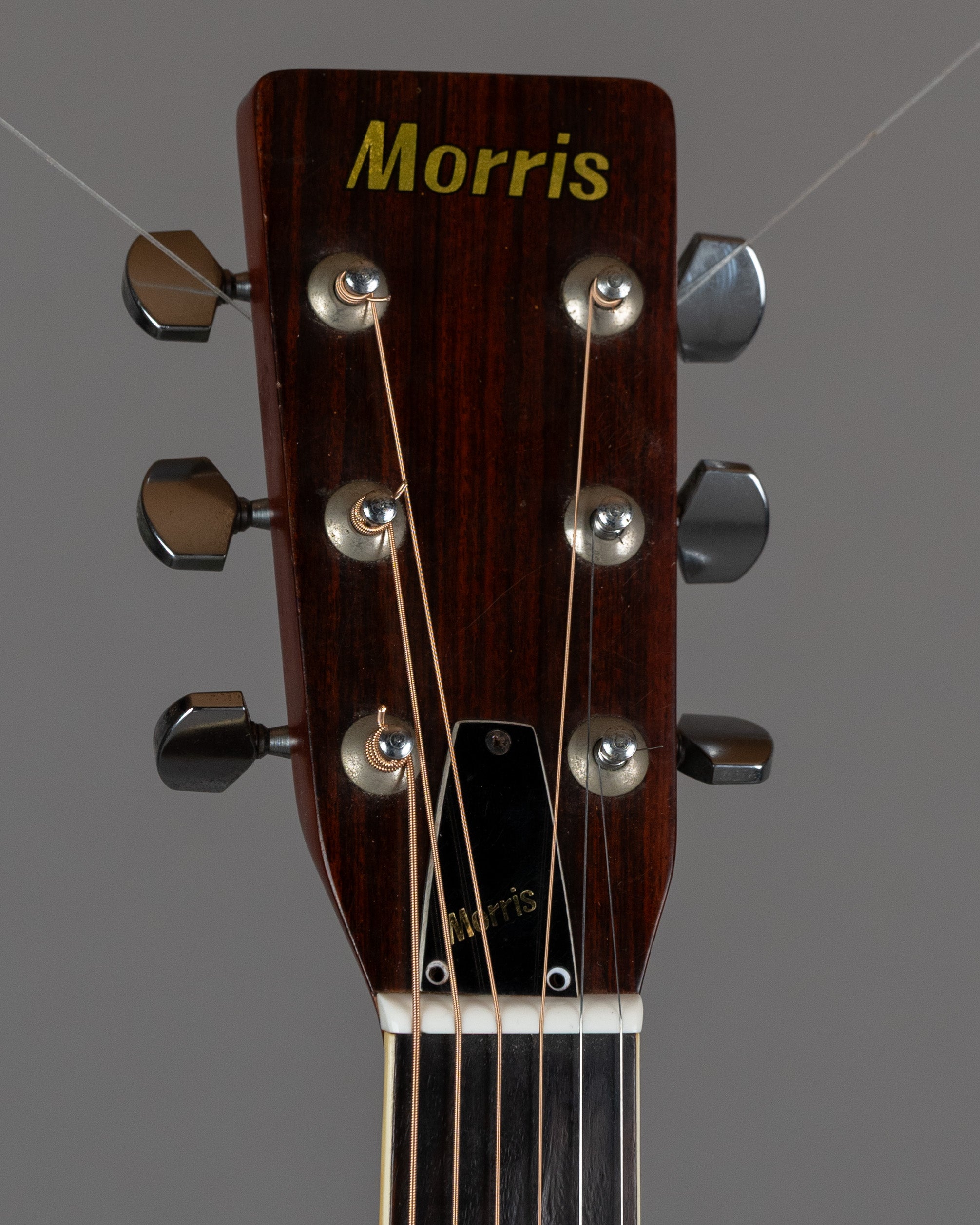 c1980s Morris W-20 'Dove' (Japan, Natural Gloss)