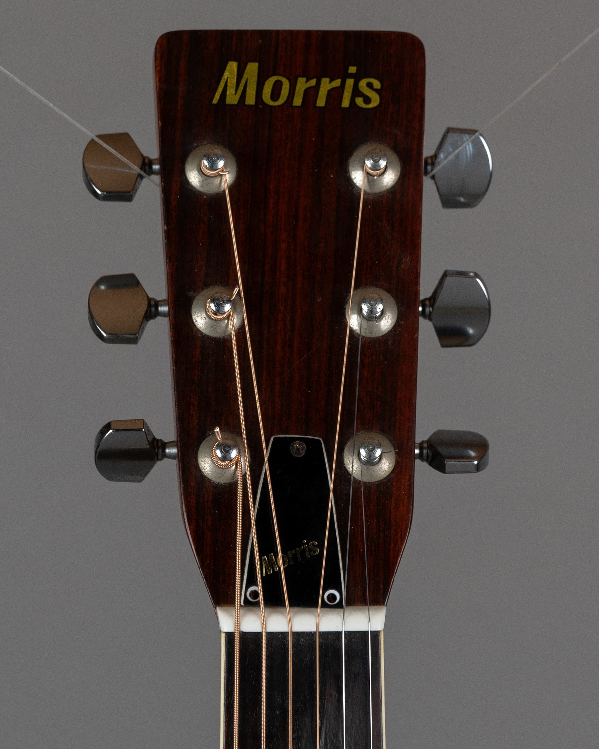 c1980s Morris W-20 'Dove' (Japan, Natural Gloss)