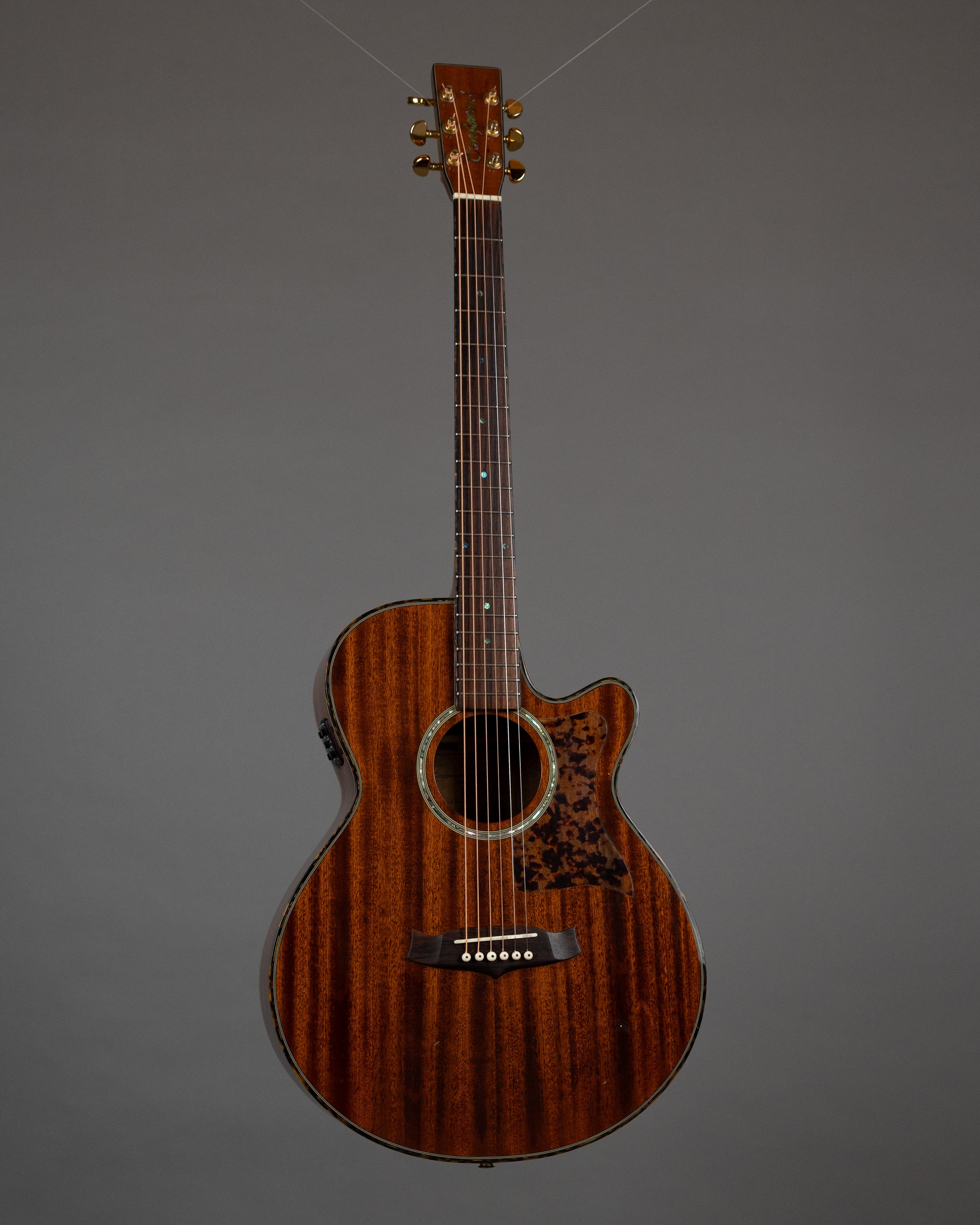 2008 Tanglewood TW4CE Winterleaf Acoustic (China, Natural)