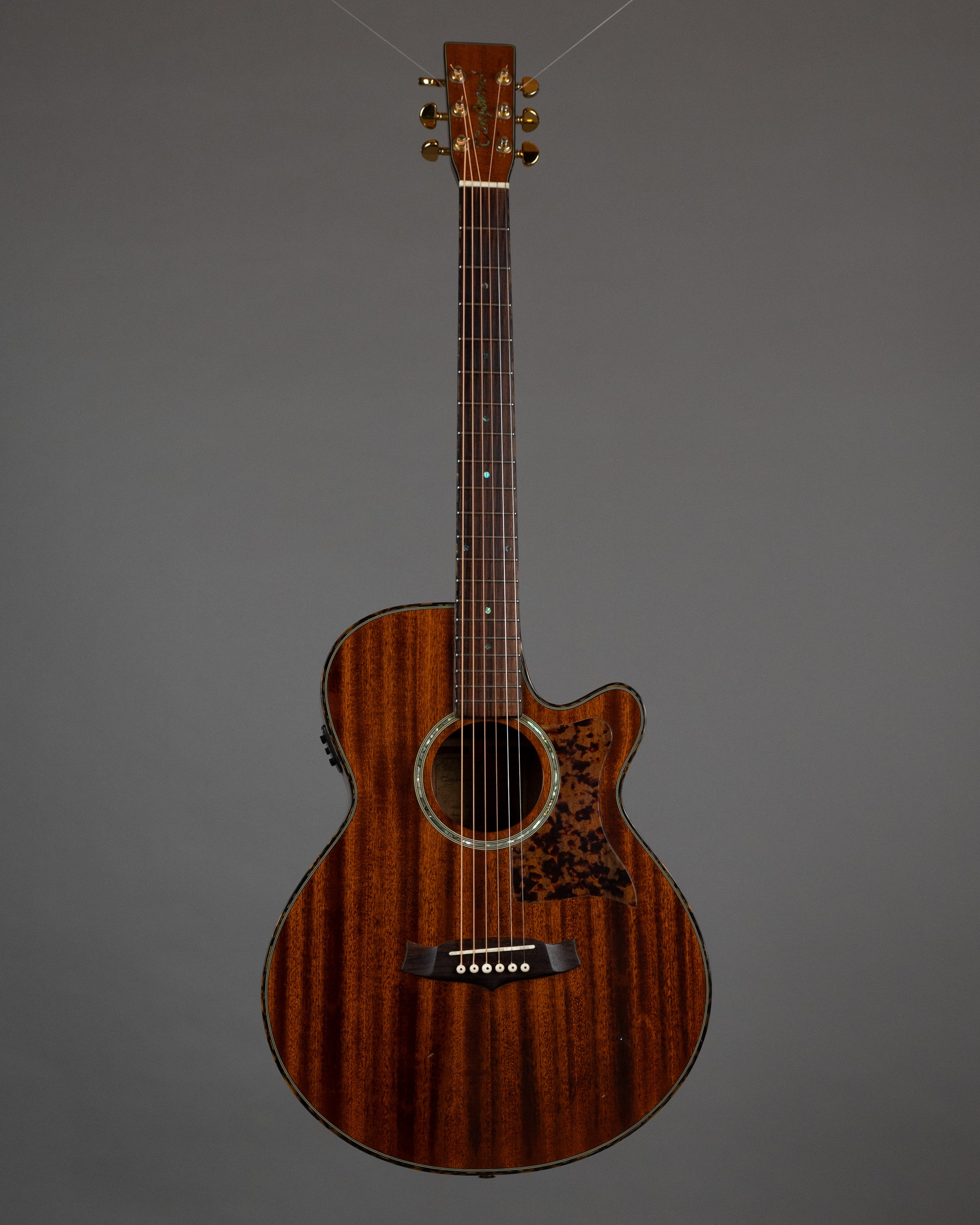 2008 Tanglewood TW4CE Winterleaf Acoustic (China, Natural)