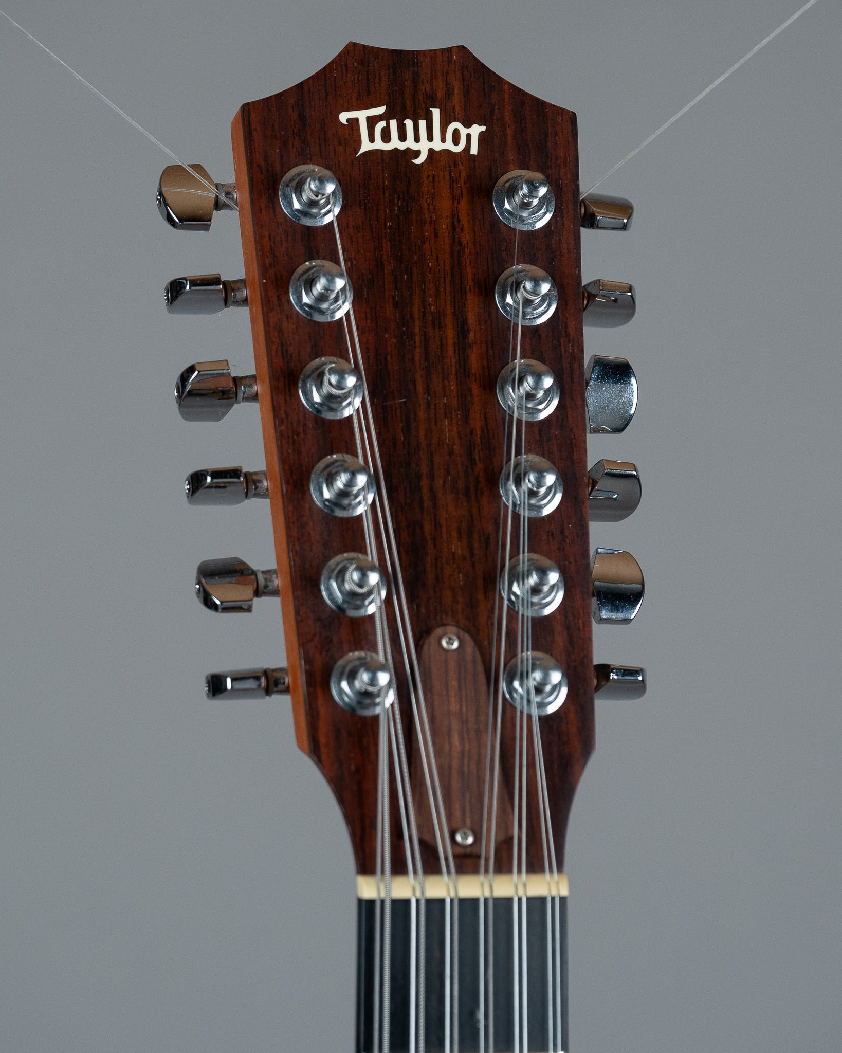 2004 Taylor 355CE-L7 12 String Special Edition (USA, Spruce/Tasmania Blackwood, Pickup, OHSC)
