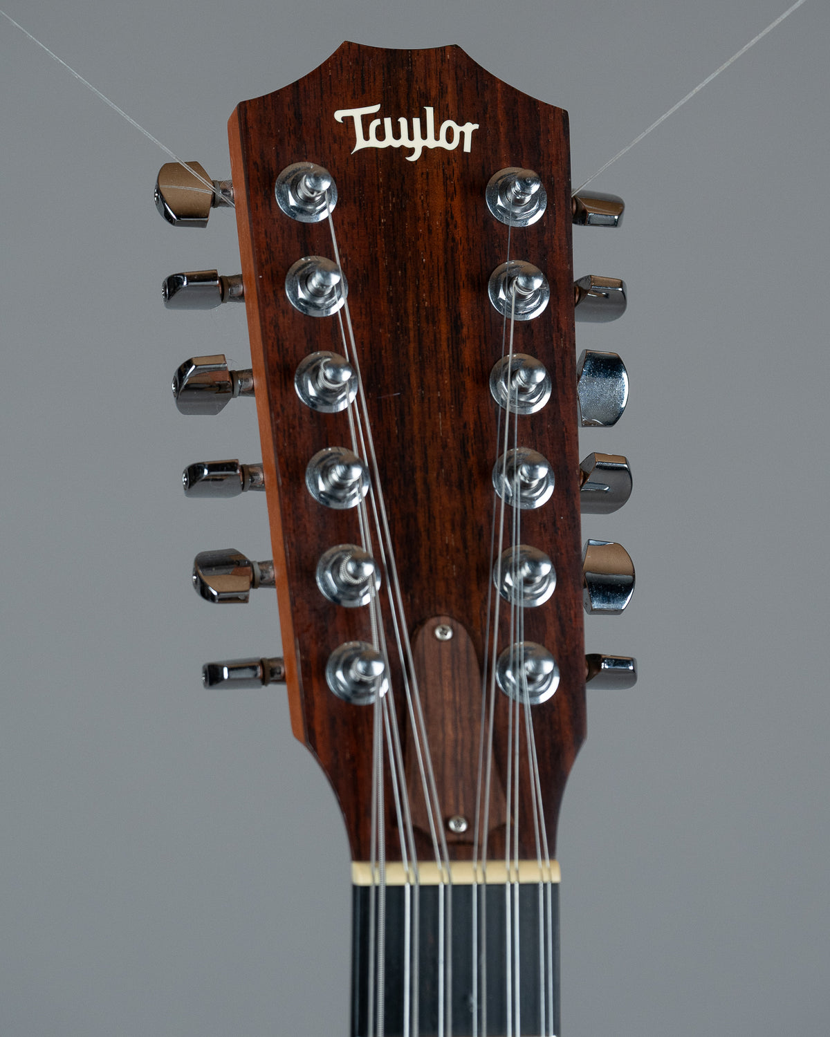 2004 Taylor 355CE-L7 12 String Special Edition (USA, Spruce/Tasmania Blackwood, Pickup, OHSC)