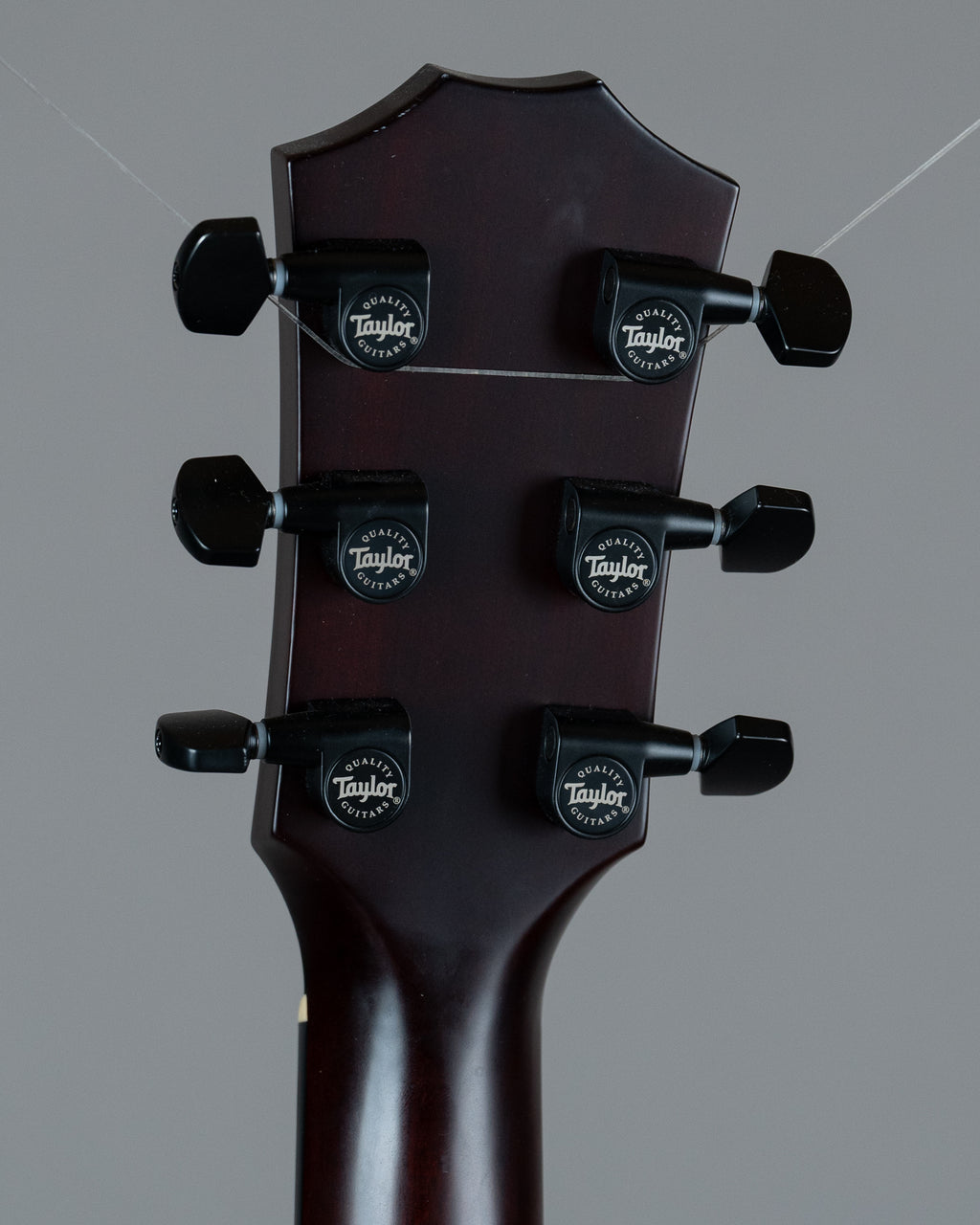 2020 Taylor T5z Classic Koa (USA, HSC + OGB)
