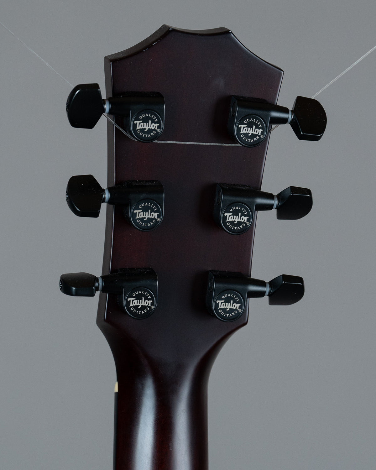 2020 Taylor T5z Classic Koa (USA, HSC + OGB)