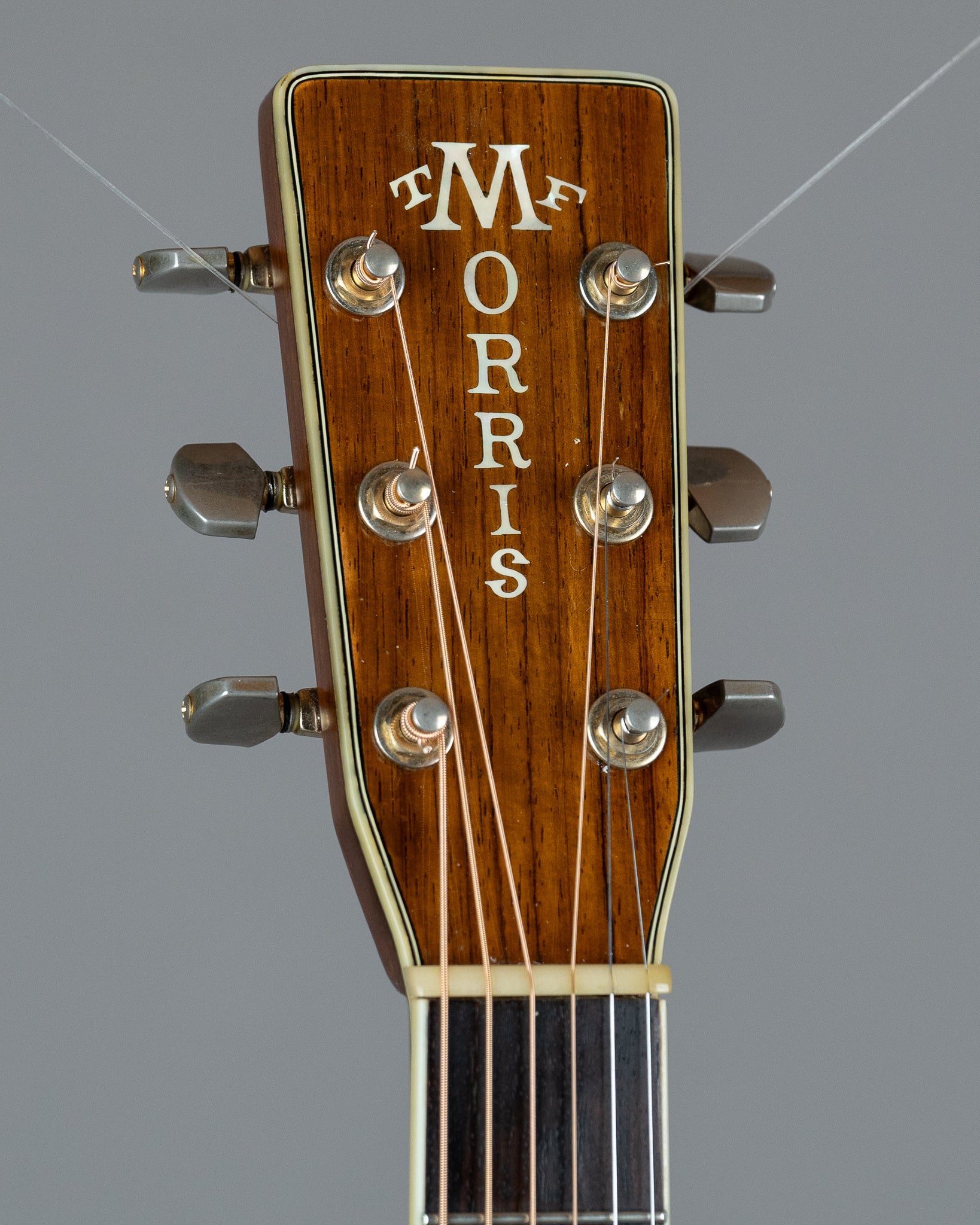 c1980s Morris TF-801 (Japan, Natural Gloss, HSC)