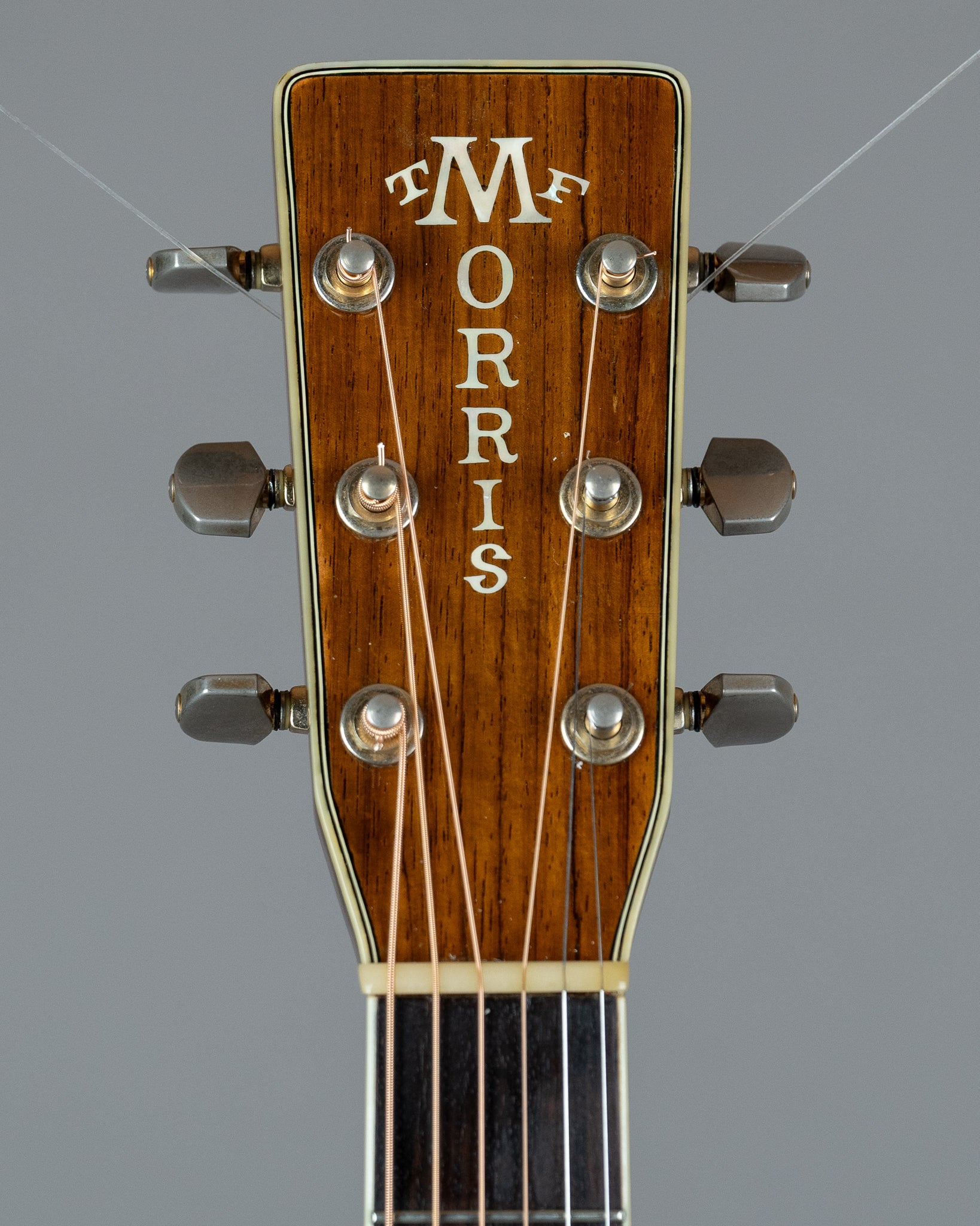 c1980s Morris TF-801 (Japan, Natural Gloss, HSC)