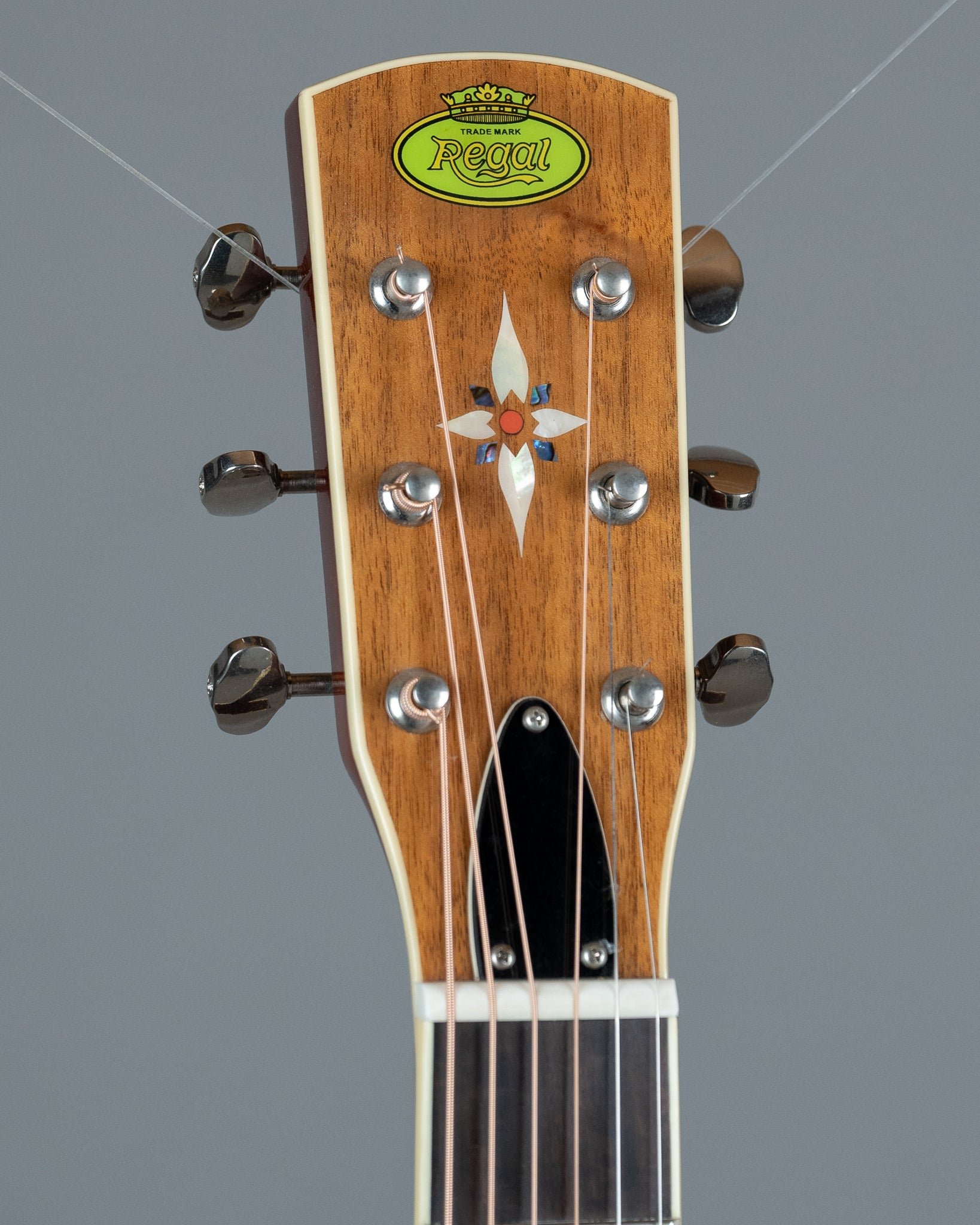 Regal RD-40 Roundneck Resophonic Guitar (China, Brown)