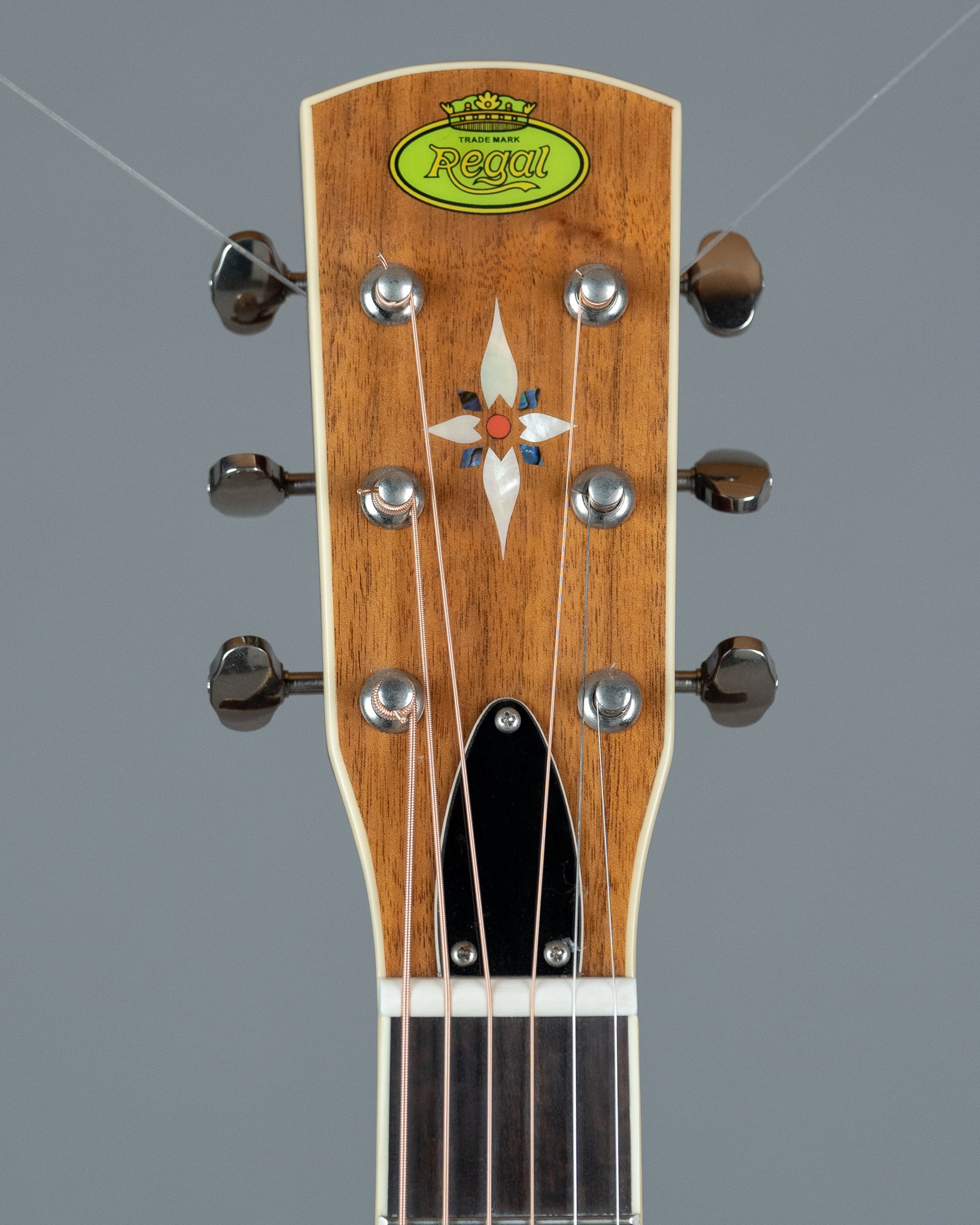 Regal RD-40 Roundneck Resophonic Guitar (China, Brown)