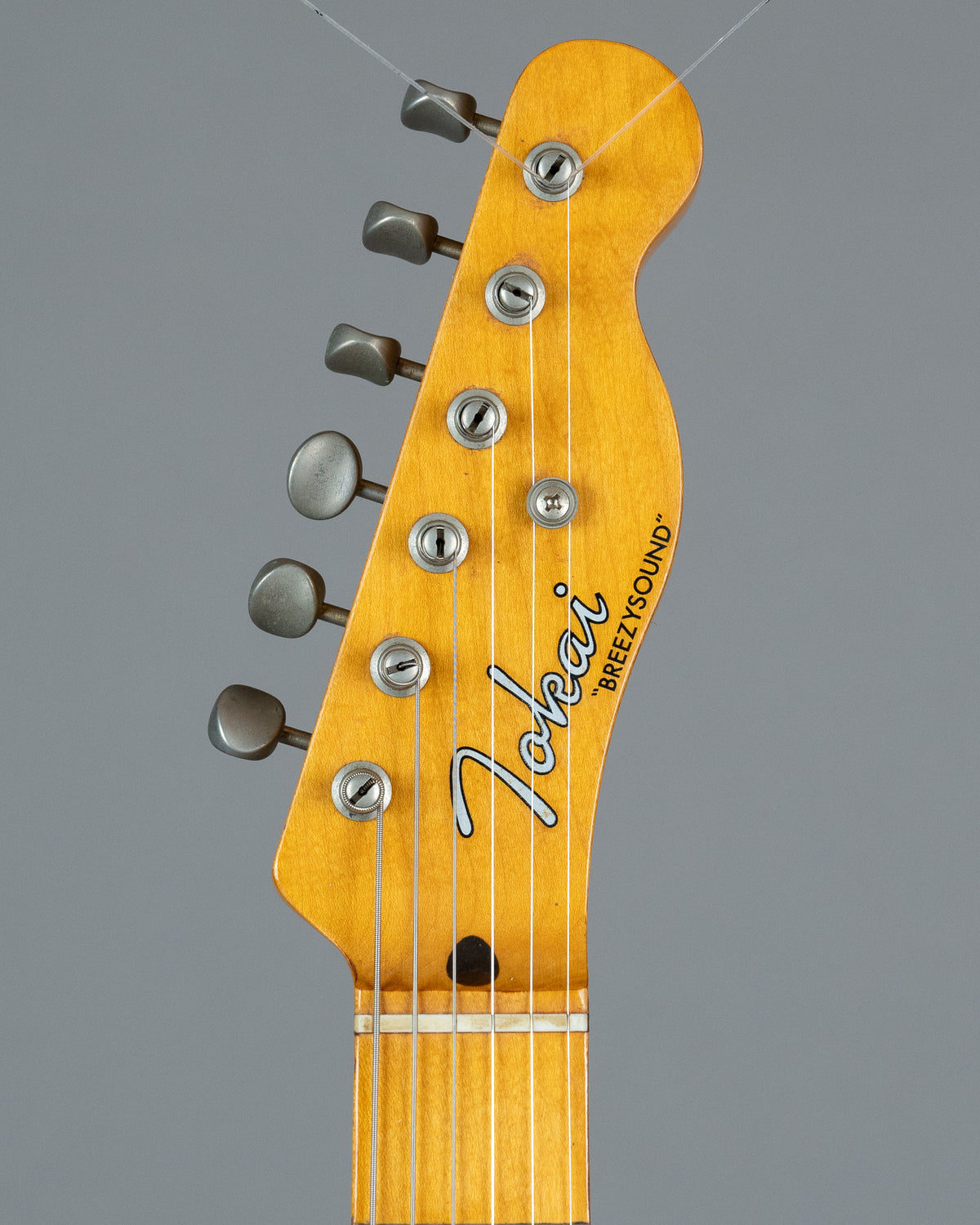 1981 Tokai Breezy Sound TE-50 (Japan, Butterscotch)