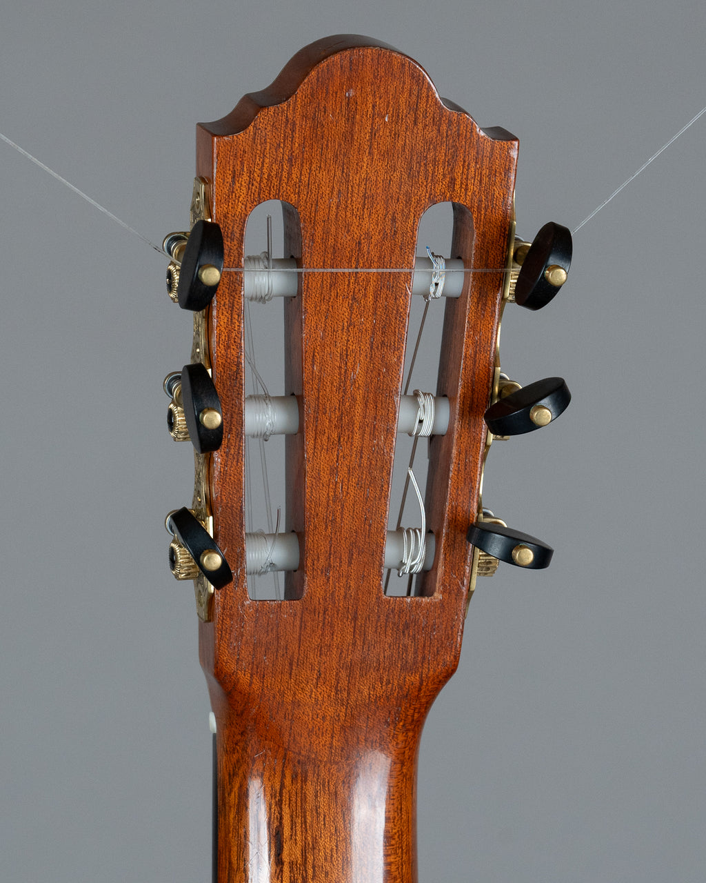 2020 Cary Pedicini Cedar Composite Double Top Classical Guitar (Australia, Natural, OHSC)