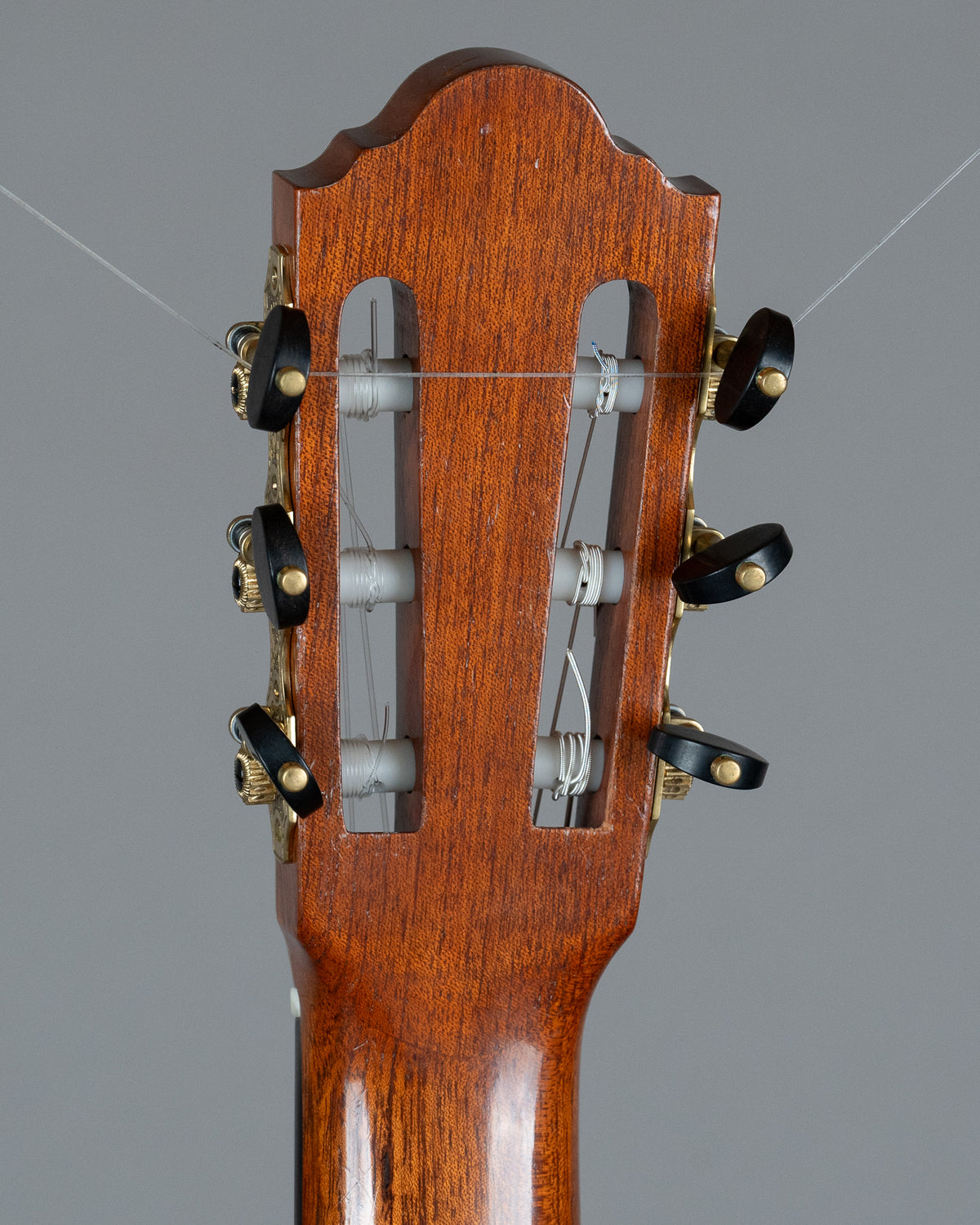2020 Cary Pedicini Cedar Composite Double Top Classical Guitar (Australia, Natural, OHSC)