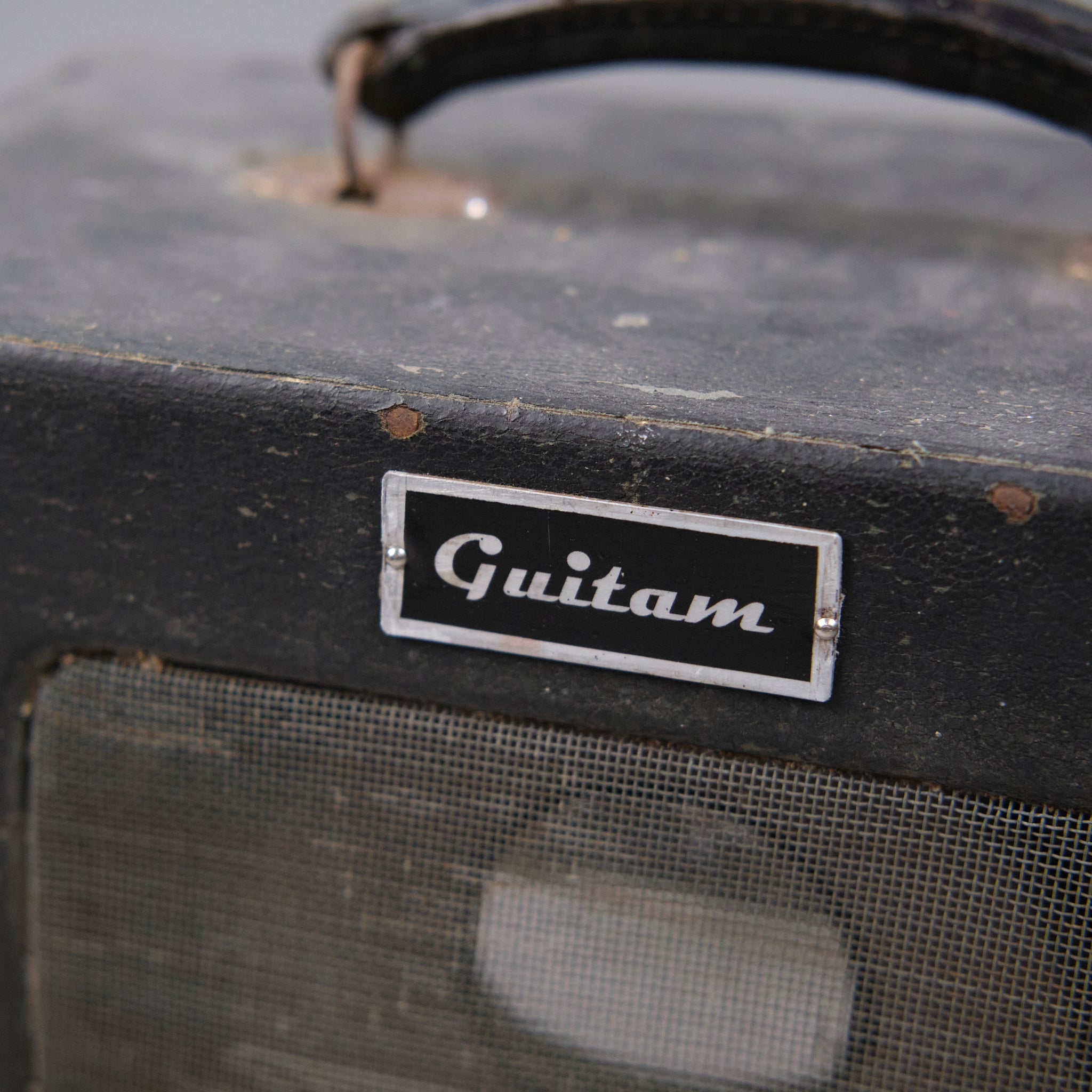 2023 Guitam - Custom Made Tube Amp (Tweed Princeton Circuit, Made in Melbourne)