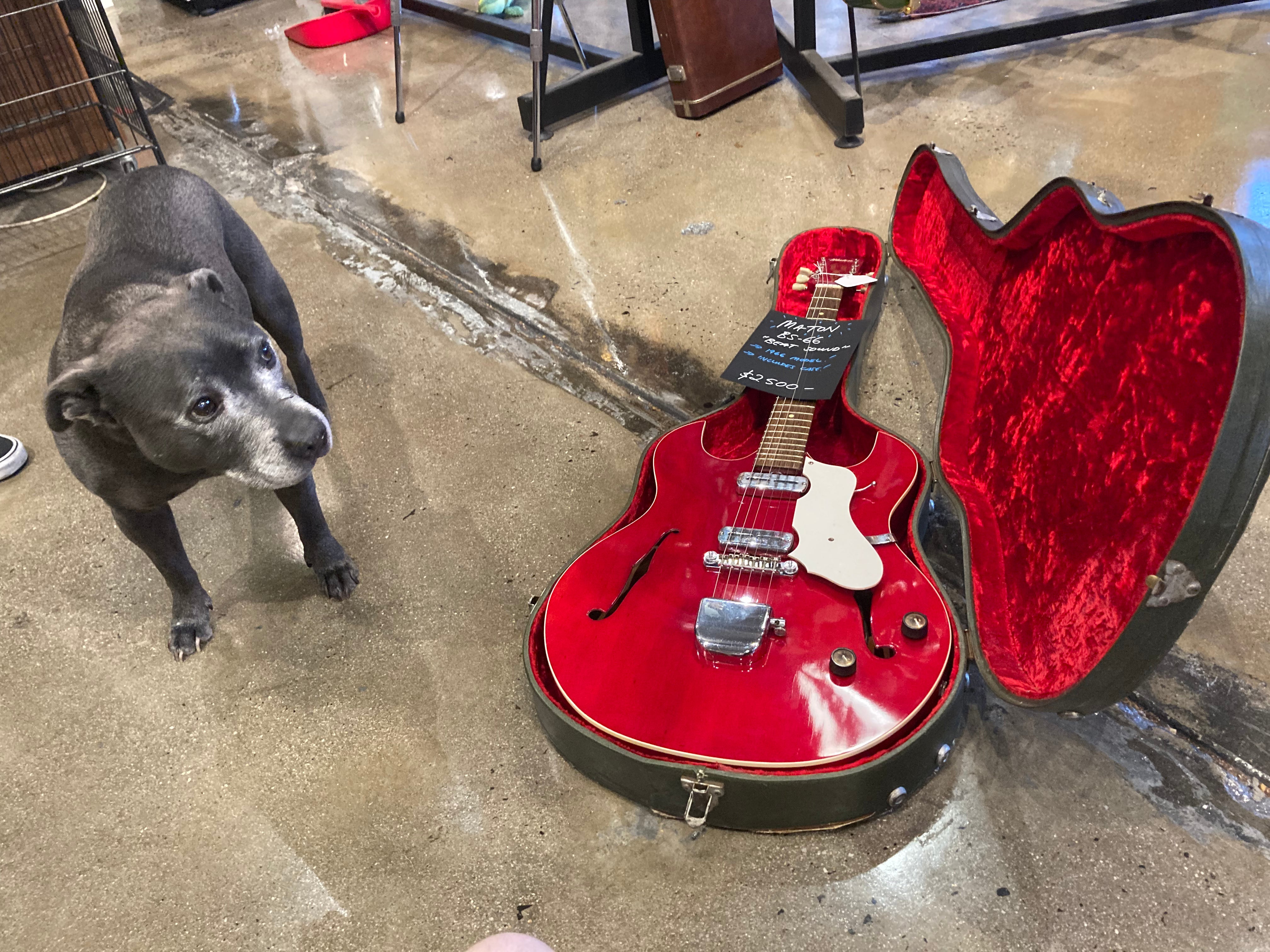 c1966 Maton BS66 Beat Sound (Australia, Cherry, OHSC)
