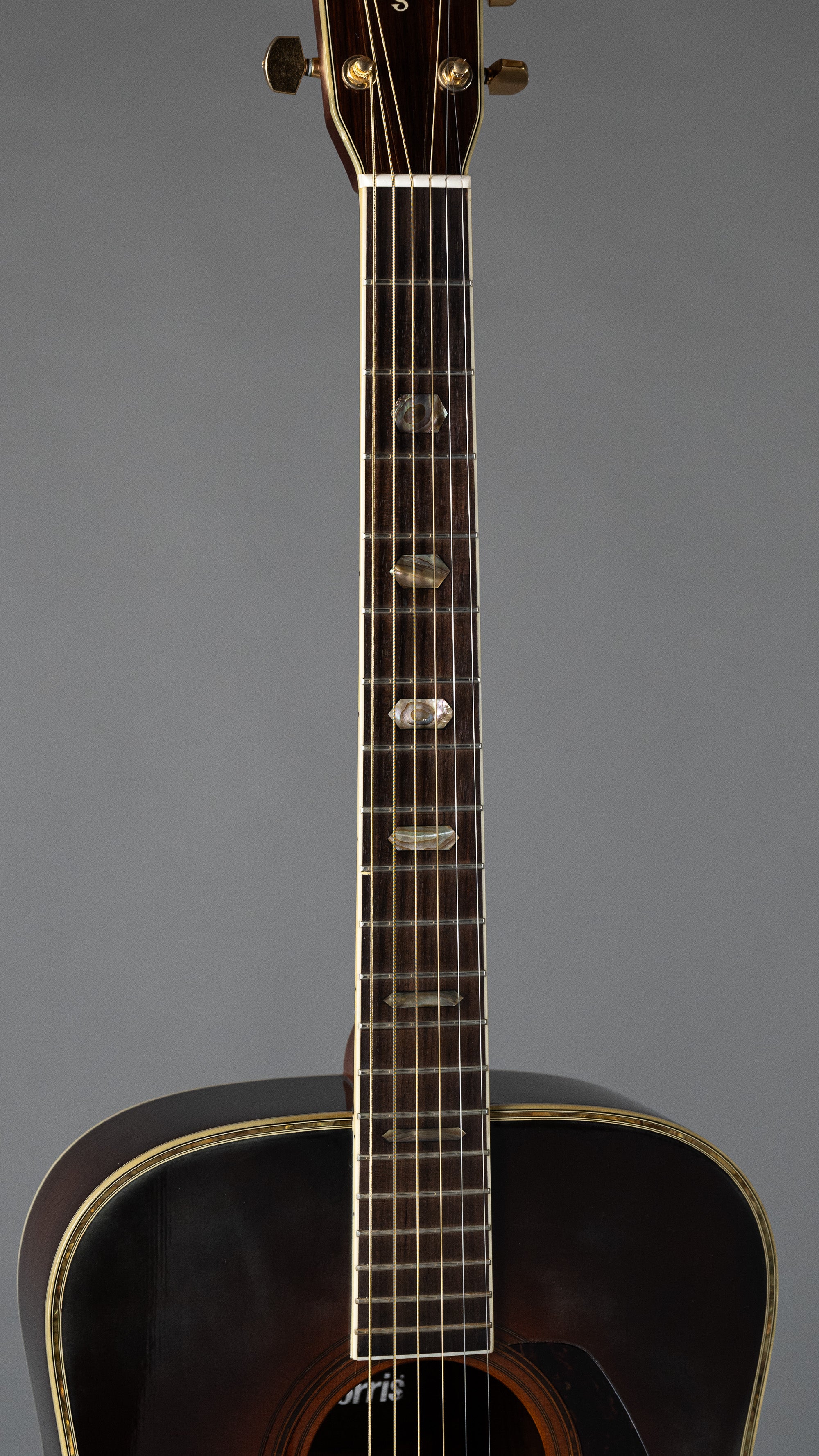 c1979 Morris TF-50 Acoustic (Japan, Shadetop, HSC)