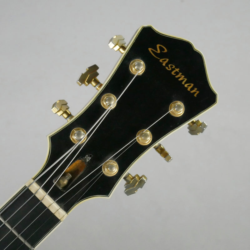 2007 Eastman T146SMD Thinline Archtop (Sunburst, China)