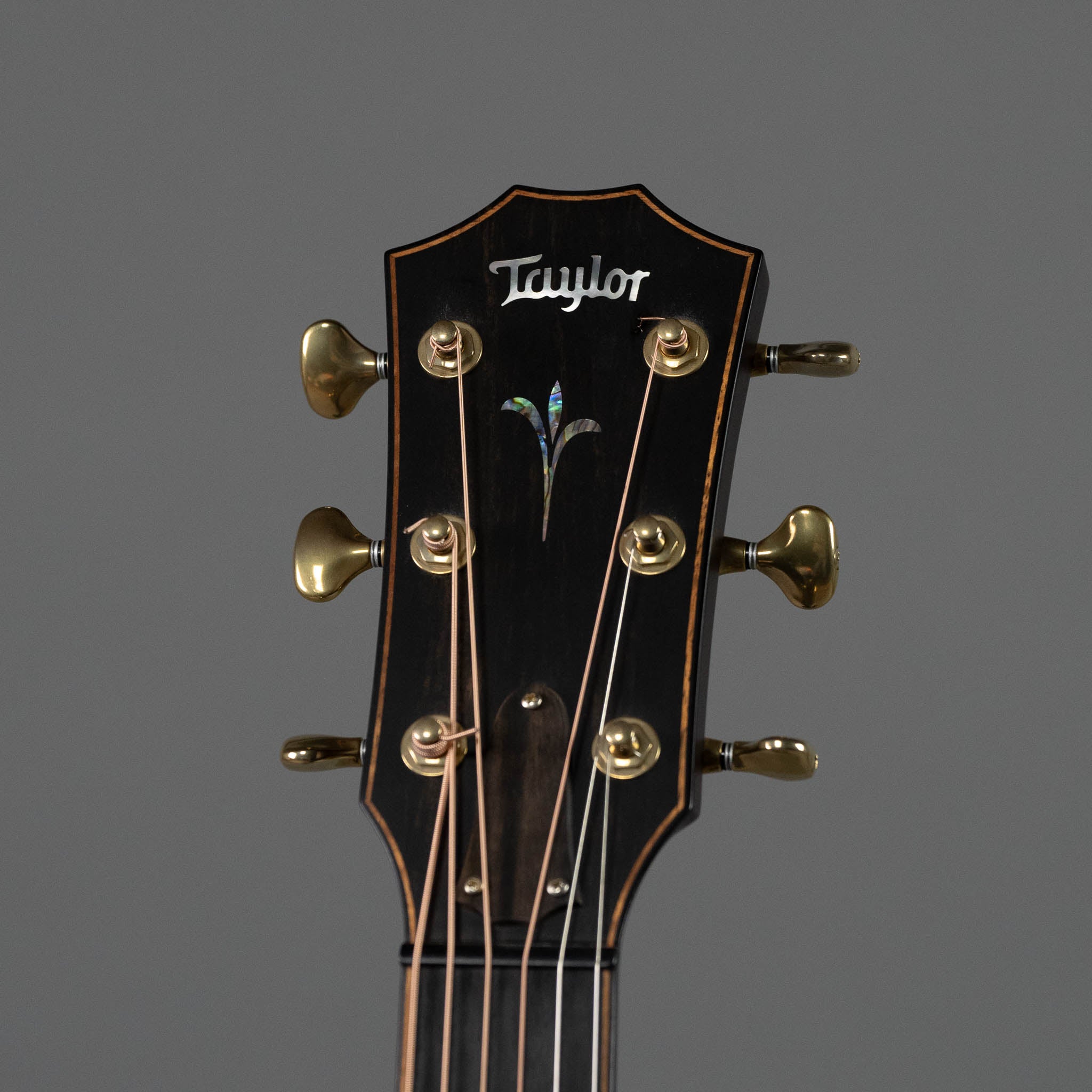 2018 Taylor Builders Edition K14CE (USA, Natural, OHSC)