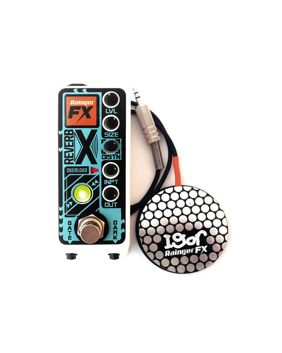 Rainger FX Reverb-X (with Igor) Reverb Pedal
