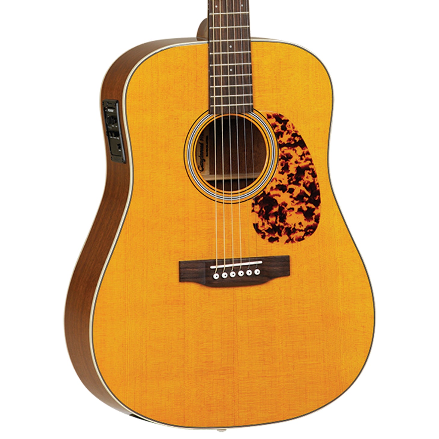 Tanglewood Sundance TW40DANE Historic Dreadnought (Pickup, HSC)