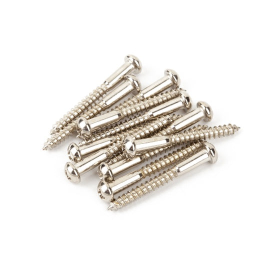 Fender Vintage-Style Stratocaster Bridge Mounting Screws (Phillips head, Nickel, 12)