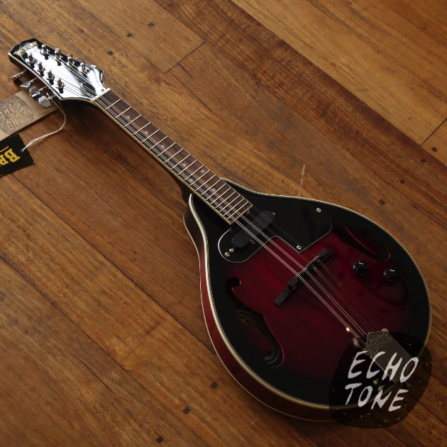 Bryden SMA50E Mandolin with Pickup